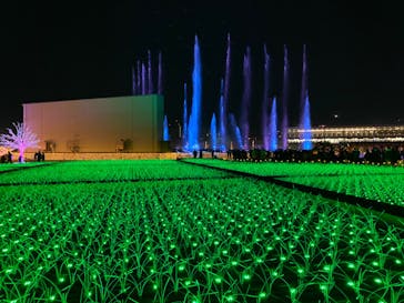 東京メガイルミに投稿された画像（2022/1/3）