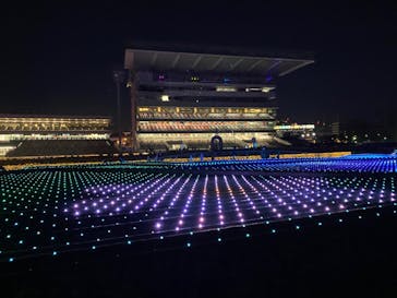 東京メガイルミに投稿された画像（2022/1/3）