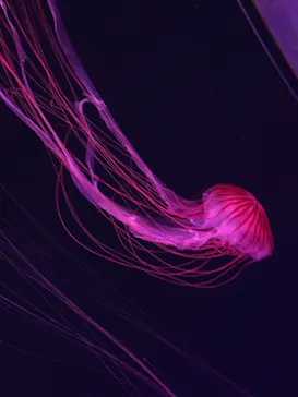 すみだ水族館に投稿された画像（2022/1/3）