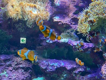 サンシャイン水族館に投稿された画像（2022/1/3）