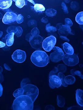 すみだ水族館に投稿された画像（2022/1/3）