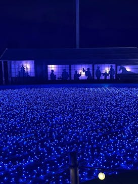 東京メガイルミに投稿された画像（2022/1/3）