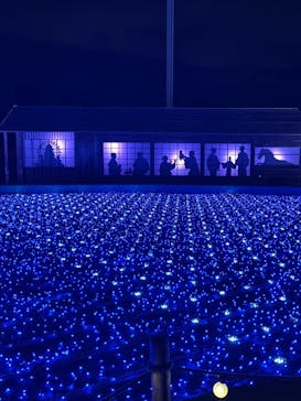 東京メガイルミに投稿された画像（2022/1/3）