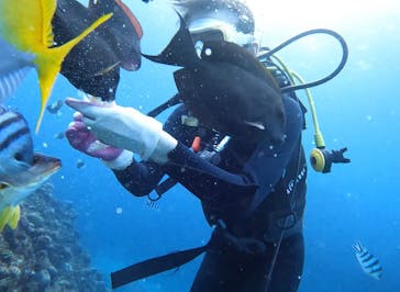 青の洞窟専門店　沖縄ダイビングショップ和に投稿された画像（2022/1/3）