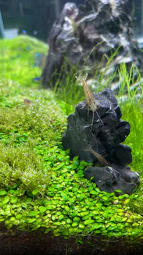 すみだ水族館に投稿された画像（2022/1/3）