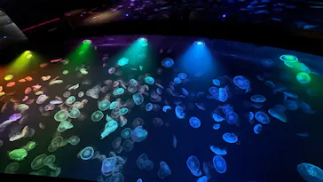 すみだ水族館に投稿された画像（2022/1/3）