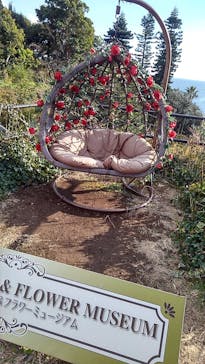 ニューヨークランプミュージアム＆フラワーガーデンに投稿された画像（2022/1/3）