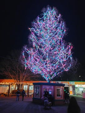 東武動物公園に投稿された画像（2022/1/3）