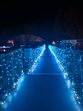 東武動物公園に投稿された画像（2022/1/3）