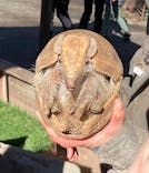 伊豆アニマルキングダムに投稿された画像（2022/1/3）