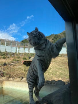 伊豆アニマルキングダムに投稿された画像（2022/1/3）