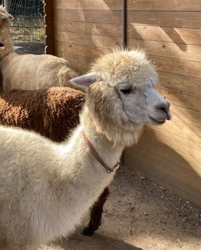 伊豆アニマルキングダムに投稿された画像（2022/1/3）