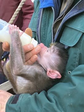 伊豆アニマルキングダムに投稿された画像（2022/1/3）