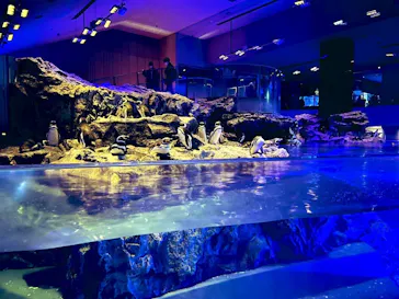 すみだ水族館に投稿された画像（2022/1/3）