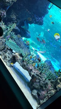 サンシャイン水族館に投稿された画像（2022/1/3）