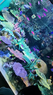 サンシャイン水族館に投稿された画像（2022/1/3）