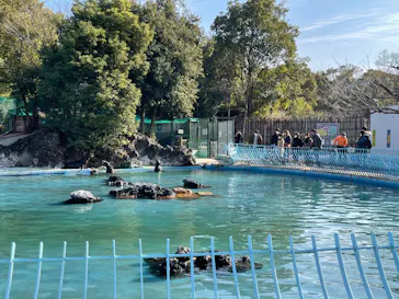天王寺動物園に投稿された画像（2022/1/3）