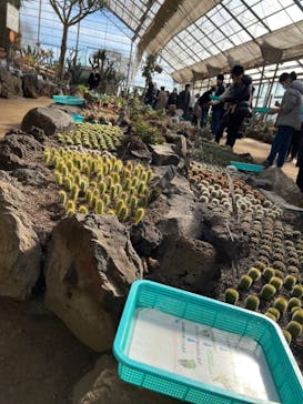 伊豆シャボテン動物公園に投稿された画像（2022/1/3）
