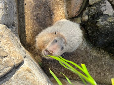 伊豆シャボテン動物公園に投稿された画像（2022/1/3）