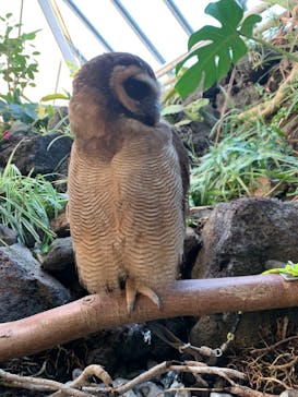 伊豆シャボテン動物公園に投稿された画像（2022/1/3）