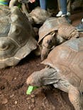 体感型動物園iZooに投稿された画像（2021/12/30）