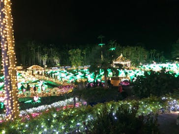 美らヤシパークオキナワ・東南植物楽園に投稿された画像（2022/1/3）