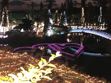 美らヤシパークオキナワ・東南植物楽園に投稿された画像（2022/1/3）