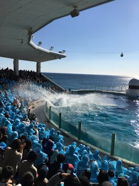鴨川シーワールドに投稿された画像（2022/1/3）