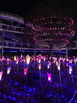 ひらかたパークに投稿された画像（2022/1/3）