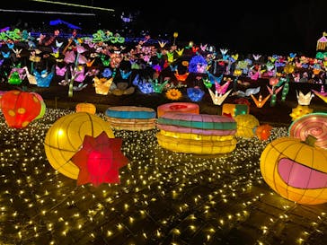 伊豆ぐらんぱる公園に投稿された画像（2022/1/3）