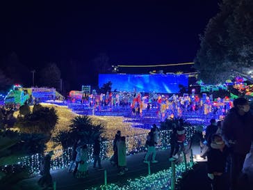 伊豆ぐらんぱる公園に投稿された画像（2022/1/3）