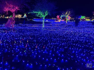 伊豆ぐらんぱる公園に投稿された画像（2022/1/3）