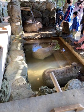 長崎バイオパークに投稿された画像（2022/1/3）