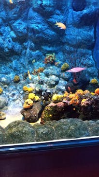 株式会社Gに投稿された画像（2022/1/3）