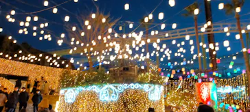 ひらかたパークに投稿された画像（2022/1/3）