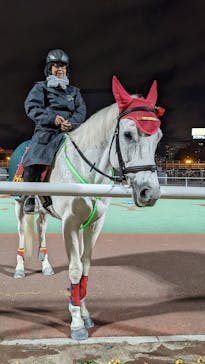 東京メガイルミに投稿された画像（2022/1/3）