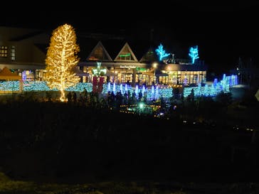 いばらきフラワーパークに投稿された画像（2022/1/3）