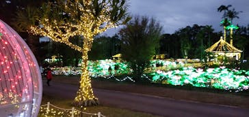 美らヤシパークオキナワ・東南植物楽園に投稿された画像（2022/1/3）