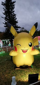 美らヤシパークオキナワ・東南植物楽園に投稿された画像（2022/1/3）