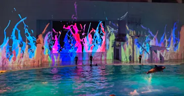 横浜・八景島シーパラダイスに投稿された画像（2022/1/3）