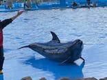 名古屋港水族館に投稿された画像（2022/1/3）