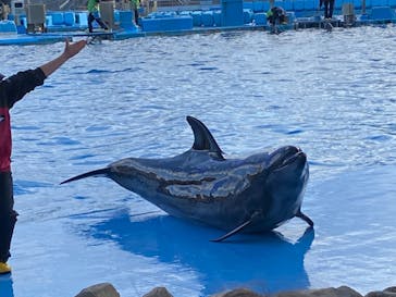 名古屋港水族館に投稿された画像（2022/1/3）