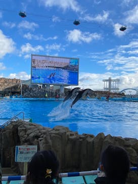 名古屋港水族館に投稿された画像（2022/1/3）