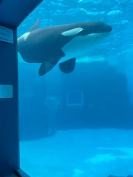 名古屋港水族館に投稿された画像（2022/1/3）