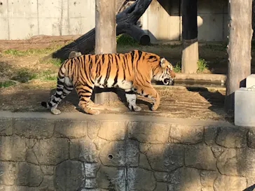 天王寺動物園に投稿された画像（2022/1/3）