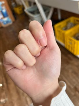 DIVING-SHOP SUNSに投稿された画像（2022/1/3）