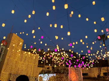 ひらかたパークに投稿された画像（2022/1/3）