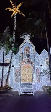 美らヤシパークオキナワ・東南植物楽園に投稿された画像（2022/1/3）