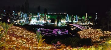 美らヤシパークオキナワ・東南植物楽園に投稿された画像（2022/1/3）