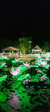 美らヤシパークオキナワ・東南植物楽園に投稿された画像（2022/1/3）